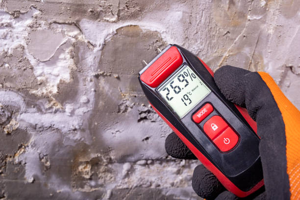 Best Mold Testing and Inspection Services in Lake Of The Woods, IL