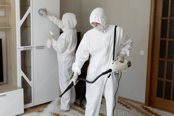 Best Bathroom Mold Remediation in Lake Of The Woods, IL